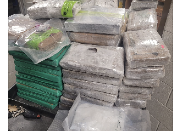 Mula en Puente Santa Fe